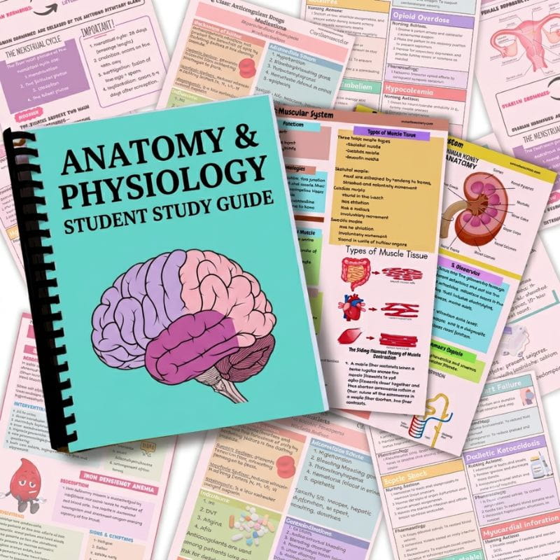 Anatomy and Physiology Student Study Guide-Tutelor